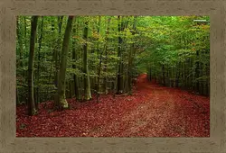 Картина в раме - Осень Картина в раме - Осень
