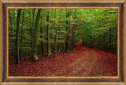 Картина в раме - Осень Картина в раме - Осень