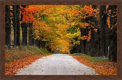 Картина в раме - Осень Картина в раме - Осень