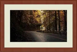 Картина в раме - Осень Картина в раме - Осень