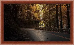 Картина в раме - Осень Картина в раме - Осень