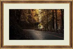 Картина в раме - Осень Картина в раме - Осень