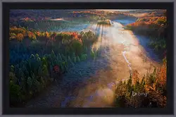 Картина в раме - Осень Картина в раме - Осень