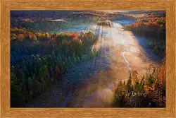 Картина в раме - Осень Картина в раме - Осень