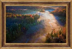 Картина в раме - Осень Картина в раме - Осень