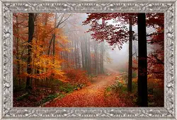 Картина в раме - Осень Картина в раме - Осень