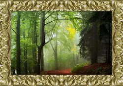Картина в раме - Осень Картина в раме - Осень