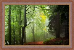 Картина в раме - Осень Картина в раме - Осень