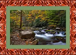 Картина в раме - Осень Картина в раме - Осень