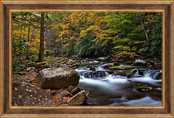 Картина в раме - Осень Картина в раме - Осень