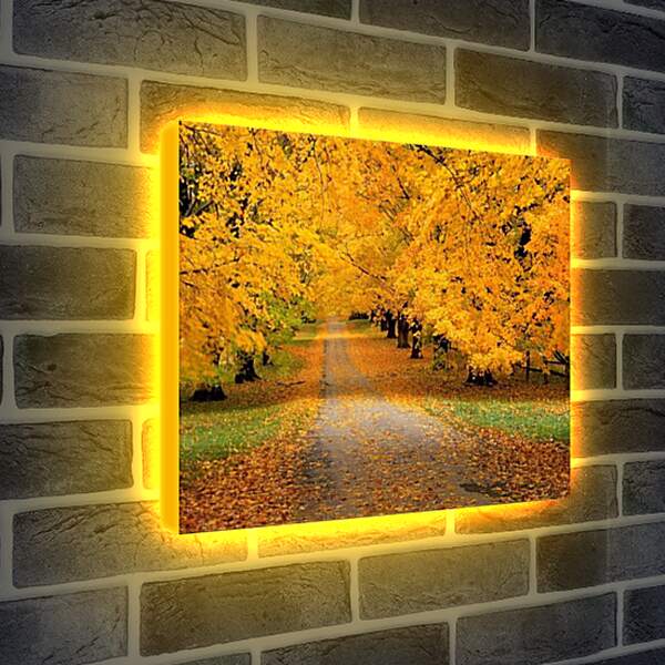 Лайтбокс световая панель - Времена года - Дорога в осень