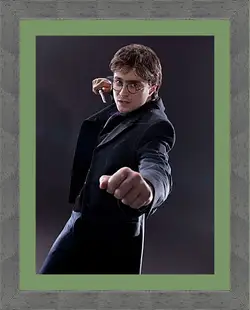 Картина в раме - Deathly Hallows Картина в раме - Deathly Hallows