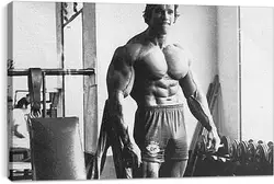 Постер на подрамнике - Арнольд Шварценеггер (Arnold Schwarzenegger) Постер на подрамнике - Арнольд Шварценеггер (Arnold Schwarzenegger)