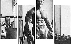 Модульная картина - Арнольд Шварценеггер (Arnold Schwarzenegger) Модульная картина - Арнольд Шварценеггер (Arnold Schwarzenegger)