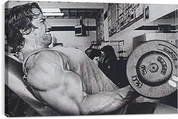 Постер на подрамнике - Шварценеггер Арнольд (Arnold Schwarzenegger) Постер на подрамнике - Шварценеггер Арнольд (Arnold Schwarzenegger)