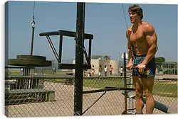 Постер на подрамнике - Шварценеггер Арнольд (Arnold Schwarzenegger) Постер на подрамнике - Шварценеггер Арнольд (Arnold Schwarzenegger)