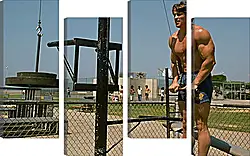 Модульная картина - Шварценеггер Арнольд (Arnold Schwarzenegger) Модульная картина - Шварценеггер Арнольд (Arnold Schwarzenegger)