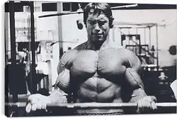Постер на подрамнике - Шварценеггер Арнольд (Arnold Schwarzenegger) Постер на подрамнике - Шварценеггер Арнольд (Arnold Schwarzenegger)