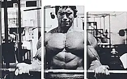 Модульная картина - Шварценеггер Арнольд (Arnold Schwarzenegger) Модульная картина - Шварценеггер Арнольд (Arnold Schwarzenegger)