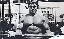 Плакат на стену - Шварценеггер Арнольд (Arnold Schwarzenegger) Плакат на стену - Шварценеггер Арнольд (Arnold Schwarzenegger)