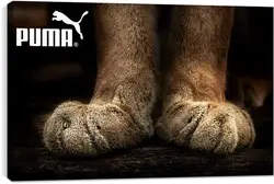 Постер на подрамнике - Спорт Постер на подрамнике - Спорт