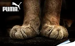 Плакат на стену - Спорт Плакат на стену - Спорт