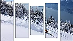 Модульная картина - Спорт Модульная картина - Спорт