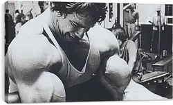 Постер на подрамнике - Арнольд Шварценеггер (Arnold Schwarzenegger) Постер на подрамнике - Арнольд Шварценеггер (Arnold Schwarzenegger)
