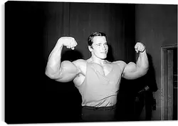 Постер на подрамнике - Арнольд Шварценеггер (Arnold Schwarzenegger) Постер на подрамнике - Арнольд Шварценеггер (Arnold Schwarzenegger)