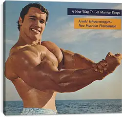 Постер на подрамнике - Арнольд Шварценеггер (Arnold Schwarzenegger) Постер на подрамнике - Арнольд Шварценеггер (Arnold Schwarzenegger)