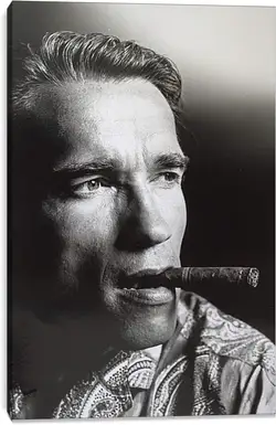 Постер на подрамнике - Арнольд Шварценеггер (Arnold Schwarzenegger) Постер на подрамнике - Арнольд Шварценеггер (Arnold Schwarzenegger)