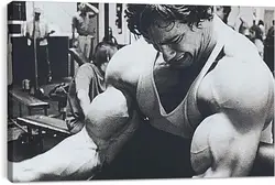 Постер на подрамнике - Арнольд Шварценеггер (Arnold Schwarzenegger) Постер на подрамнике - Арнольд Шварценеггер (Arnold Schwarzenegger)