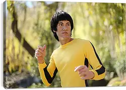 Постер на подрамнике - Брюс Ли (Bruce Lee) Постер на подрамнике - Брюс Ли (Bruce Lee)