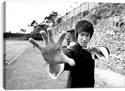 Постер на подрамнике - Брюс Ли (Bruce Lee) Постер на подрамнике - Брюс Ли (Bruce Lee)