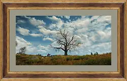 Картина в раме - The Witcher 3: Wild Hunt Картина в раме - The Witcher 3: Wild Hunt