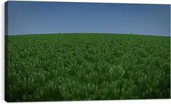 Постер на подрамнике - Minecraft Постер на подрамнике - Minecraft