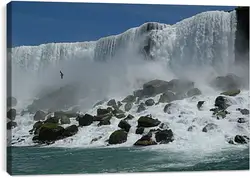Постер на подрамнике - Чайка над водопадом Постер на подрамнике - Чайка над водопадом