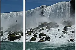 Модульная картина - Чайка над водопадом Модульная картина - Чайка над водопадом