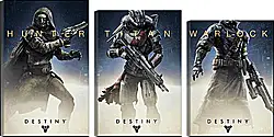 Модульная картина - Destiny Модульная картина - Destiny