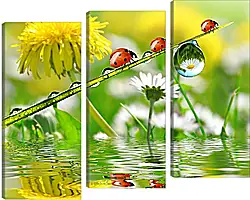 Модульная картина - Божьи коровки. Одуванчики. Модульная картина - Божьи коровки. Одуванчики.
