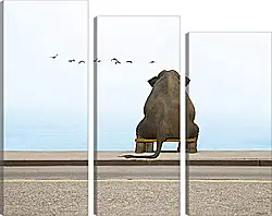 Модульная картина - фотография Модульная картина - фотография