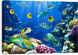 Постер на подрамнике - tropical fsh - тропичные рыбки Постер на подрамнике - tropical fsh - тропичные рыбки