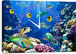 Часы картина - tropical fsh - тропичные рыбки Часы картина - tropical fsh - тропичные рыбки
