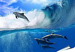 Плакат на стену - delfines - дельфины Плакат на стену - delfines - дельфины