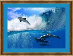 Картина в раме - delfines - дельфины Картина в раме - delfines - дельфины