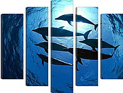 Модульная картина - Dolphin - Дельфины Модульная картина - Dolphin - Дельфины