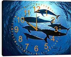 Часы картина - Dolphin - Дельфины Часы картина - Dolphin - Дельфины