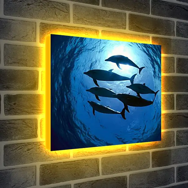 Лайтбокс световая панель - Dolphin - Дельфины Лайтбокс световая панель - Dolphin - Дельфины