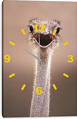 Часы картина - Ostrich - Страус Часы картина - Ostrich - Страус
