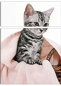 Модульная картина - Котенок под одеялом Модульная картина - Котенок под одеялом